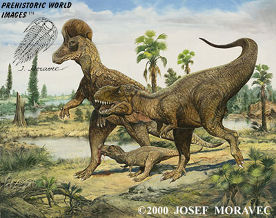 Dinosaurs - Albertosaurus - Corythosaurus 