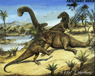 Jurassic dinosaurs - Camarasaurus & Allosaurus 