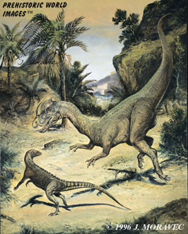 DILOPHOSAURUS wetherilli & SCUTELLOSAURUS lawleri - Jurassic dinosaur