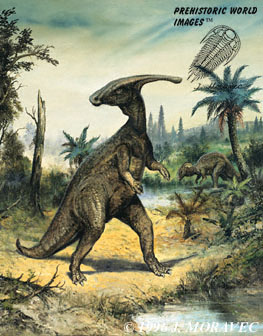 Parasaurolophus walkeri - Cretaceous dinosaur