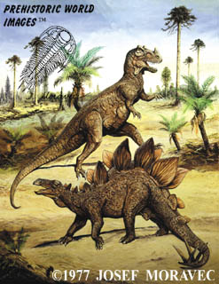 dinosaurs - ceratosaurus and stegosaurus 