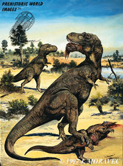Tarbosaurus baatar - dinosaur data
