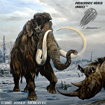 Wooly Mammoth - prehistoric animals - Pleistocene