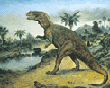 ceratosaurus, jurassic