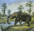 Mastodon--Pleistocene epoch