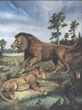 American lion, panthera leo atrox, 