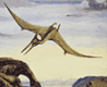 reptile, Pteranodon,  