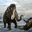 Wooly Mammoth, Ppleistocene epoch