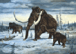 prehistoric animal--wooly mammoth-pleistocene epoch